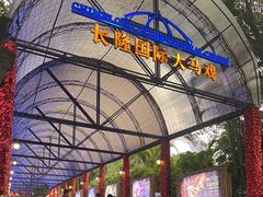 -广州长隆国际大马戏