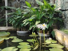 -国家植物园南园