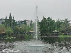 -成飞公园