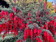 -河下古镇-梁红玉祠