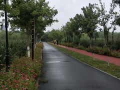 -永定河休闲森林公园