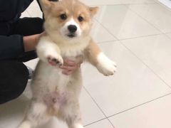 -小马哥融合菜(延安大街店)