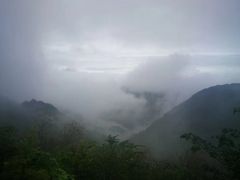-武陵山森林公园