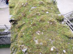 -米开朗琪罗广场