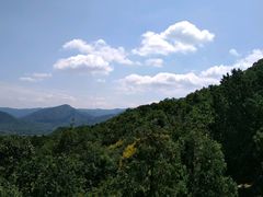 -北京鹫峰国家森林公园