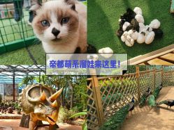 -萌宠亲子动物乐园(槐房万达店)