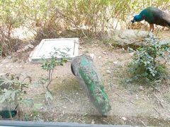 -苏州环秀晓筑养生度假村