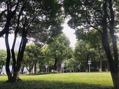 -重庆市江北嘴中央商务区中央公园