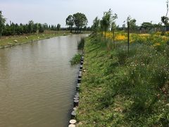 -小六农家乐(崇明西沙湿地店)