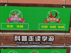 -广州长隆飞鸟乐园