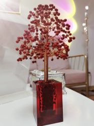 -美肤盾祛痘·问题肌头疗管理中心