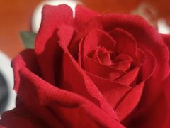 -妈妈菜舟山海鲜(定海古城店)