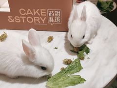 -大象厨房(重庆道店)