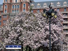 -利顺德大饭店·维多利亚花园(小白楼店)