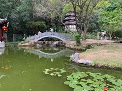 -深圳国际园林花卉博览园