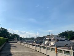 -长洲岛都市农业公园