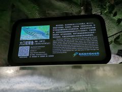 -泉城欧乐堡海洋极地世界