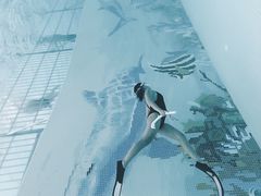 -青鱼湾水上乐园