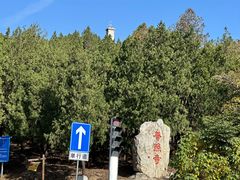 -泰山风景名胜区-普照寺