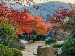 -北岭山森林公园