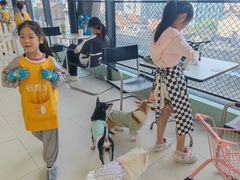 -怪兽屋·羊驼·猫咖·狗咖(俊华广场店)