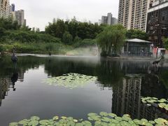 -苏州河梦清园环保主题公园