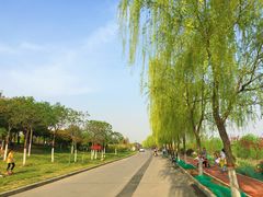-洨河生态公园