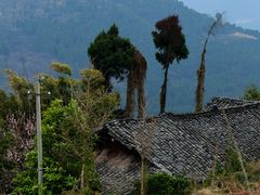 -舒家湾天主教堂