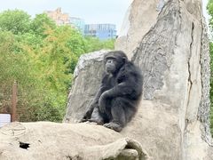 -南昌动物园