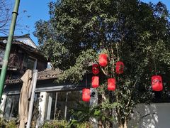 -西溪国家湿地公园