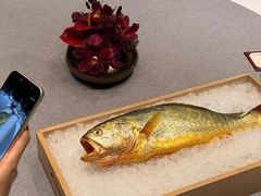 野生大黄鱼-荣府宴(南阳路店)