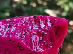 -北京清河镇农副产品交易市场中心