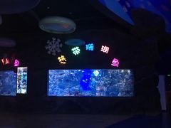 -烟台海昌鲸鲨海洋公园