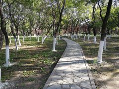 -绿堤公园