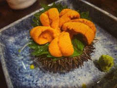 大马粪海胆刺身-加奈日本料理
