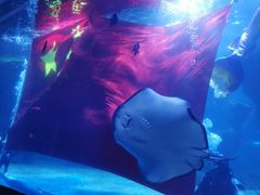 -石家庄海洋公园