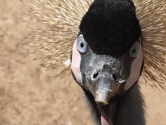 -沈阳森林动物园