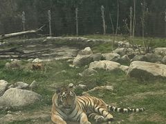 -西安秦岭野生动物园