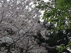 -堤角公园