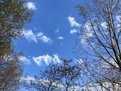 -秦岭风景区