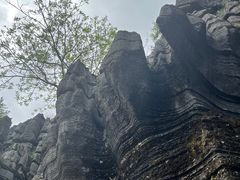 -梭布垭石林景区