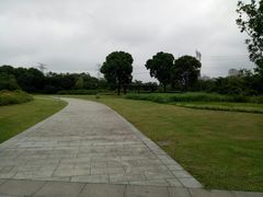 -九里河湿地公园