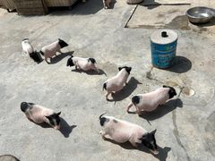 -水上乐园·欢乐世界