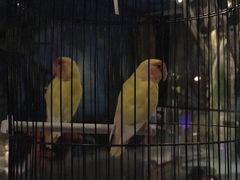 -zoonana室内动物园(东方福来德店)