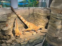 -辽宁古生物博物馆