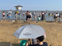 -碧海金沙