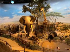 -陕西自然博物馆