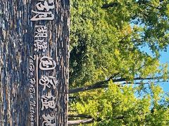 -太湖湖滨国家湿地公园-停车场