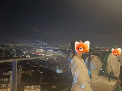 -加拉达石塔
