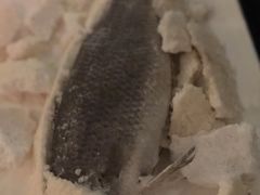 盲曹鱼-Oyster Talks 四度蚝法餐厅